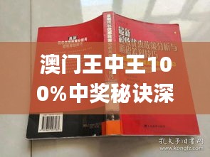 新澳门王中王与外包释义解释落实，探索与解读