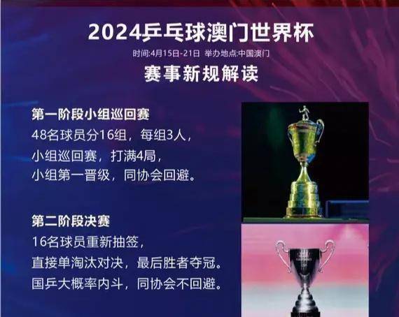 新澳门资料大全正版资料六肖与管理释义解释落实