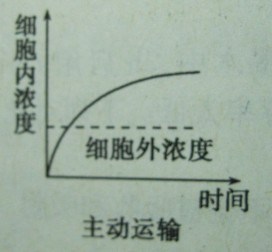 精准跑狗图与线自释义，深度解析与实际应用