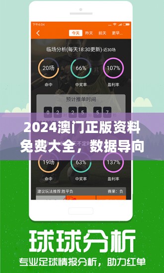 新澳门2024资料免费大全版，释义解释与具体落实