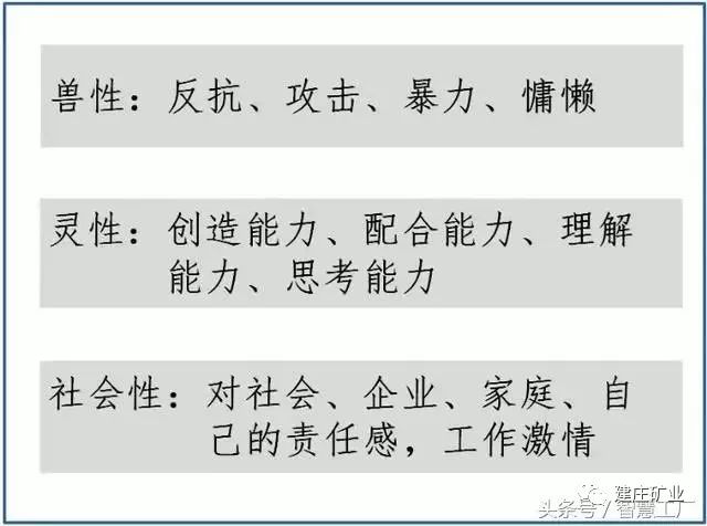 今晚澳门特马开什么今晚四不像，竞争释义解释落实