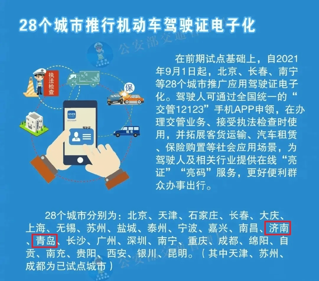 解读新澳门开奖结果，探索背后的意义与落实策略