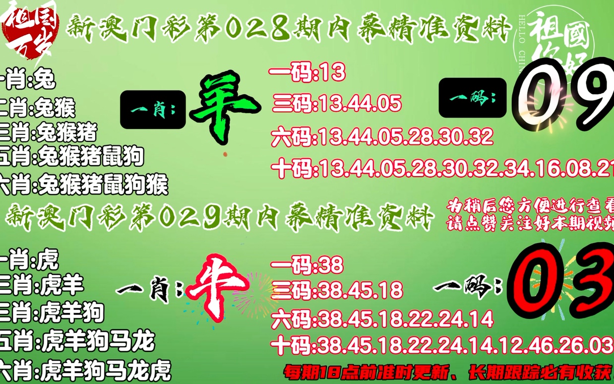 新澳2024年精准一肖一码，逐步释义解释与落实策略