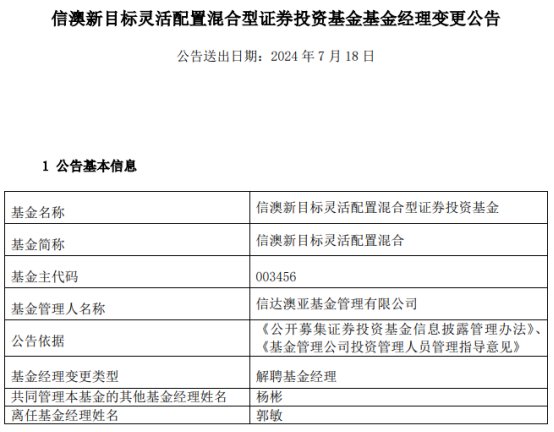 新澳2024年精准资料期期，释义解释与落实行动