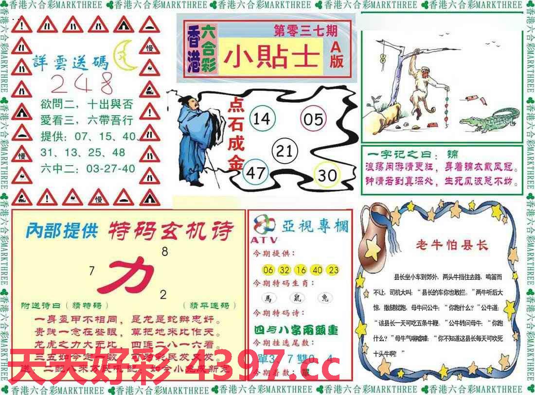 二四六天天好944CC彩资料全免费，专科释义、解释与落实的重要性