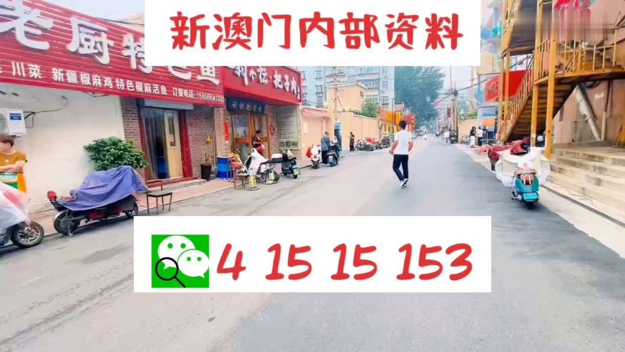 澳门彩票，2024年天天开好彩的体会与落实策略