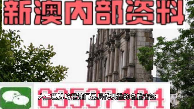 澳门最精准资料免费公开，精密释义、解释与落实