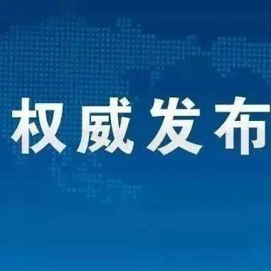 关于新臭精准资料大全与稳健释义解释落实的综合研究