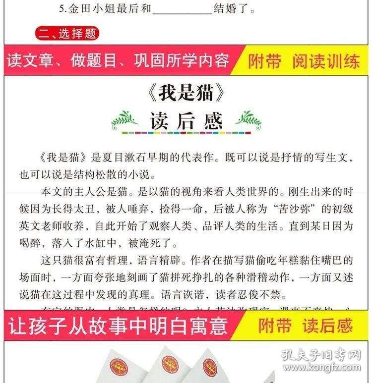 新奥彩天天开奖资料免费查询，探索释义、解释与落实