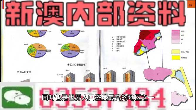 新澳门正版精准免费大全，公平释义解释与落实的重要性