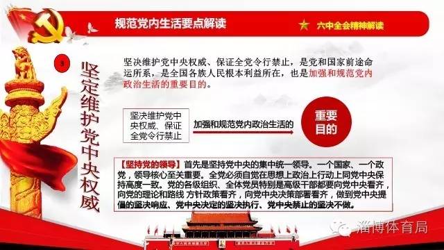 澳门天天免费精准大全，专题释义、解释与落实