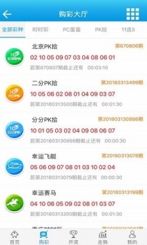 新澳门王中王100%期期中，深奥释义与落实策略