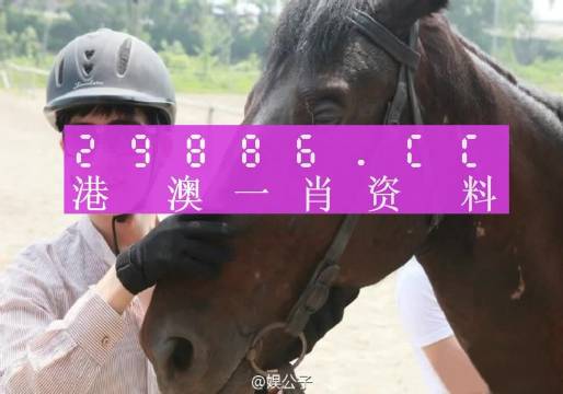 澳门今晚一肖一码1009995，先行释义、解释与落实