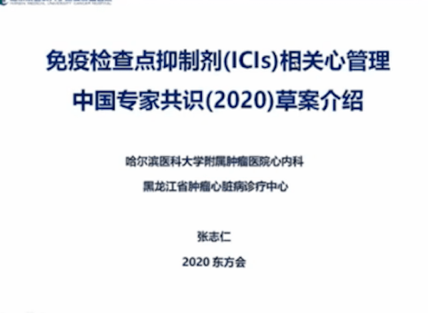 解析澳门新乐透与队协释义落实，未来的挑战与机遇