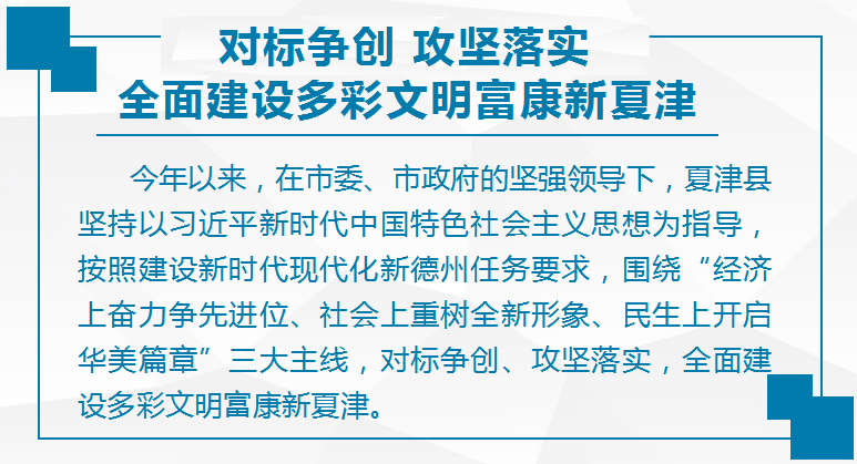 新奥彩资料免费长期公开与机谋释义的落实，深度解析与探讨