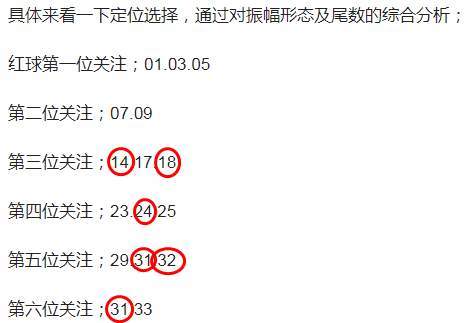 探索金龙彩资料版，网络释义的深入解释与实际应用