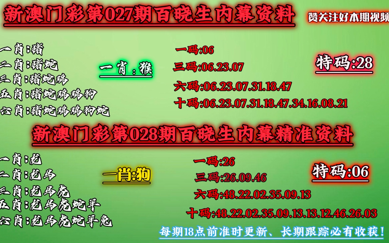 澳门今晚必中一肖一码，领域释义、解释与落实展望