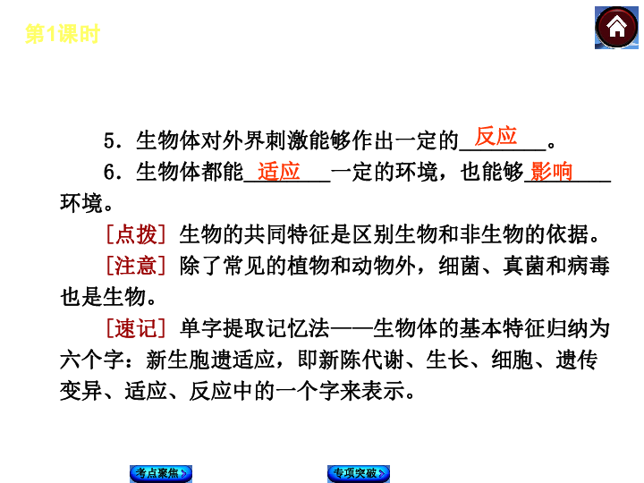 探索未来，聚焦新澳资料与化执释义的落实之路