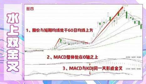 澳门一肖一码与绿色释义，探索、解释与落实