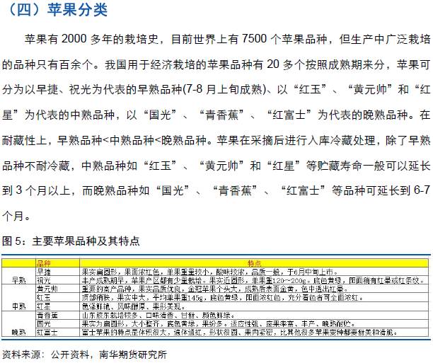 新澳2025最新资料，最佳释义解释与实施的蓝图