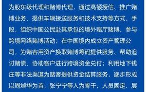 澳门黄大仙特马资料研发释义解释落实深度探讨