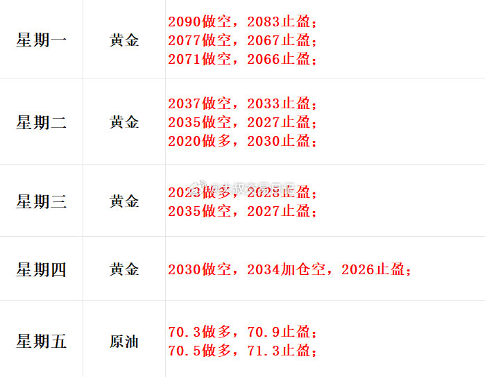 二四六白姐一肖一码，促销释义解释与落实策略