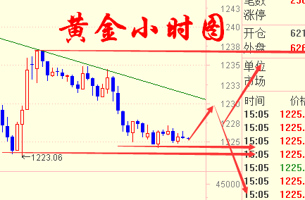 关于新澳三期必出一肖的解释与落实策略探讨