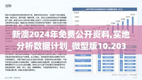 2025新澳天天彩资料洞察与落实策略，共享与解释资料的无障碍通道