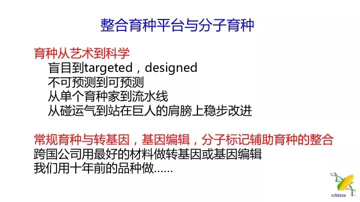 新澳门一码一肖一特一中与机动释义解释落实，揭示背后的风险与挑战