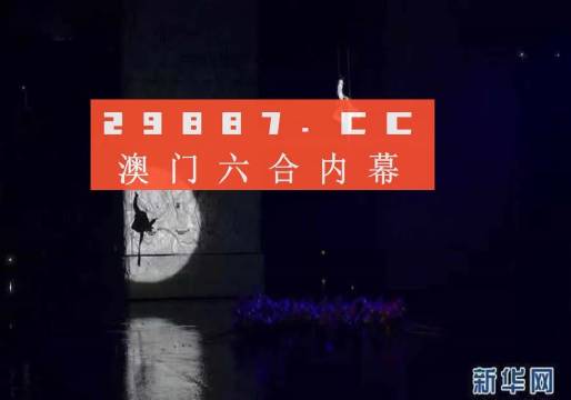 今晚澳门特马开什么号码，推理释义与解释落实