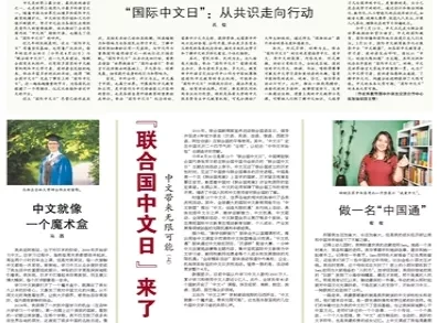 澳门四不像正版资料大全凤凰，实例释义、解释与落实