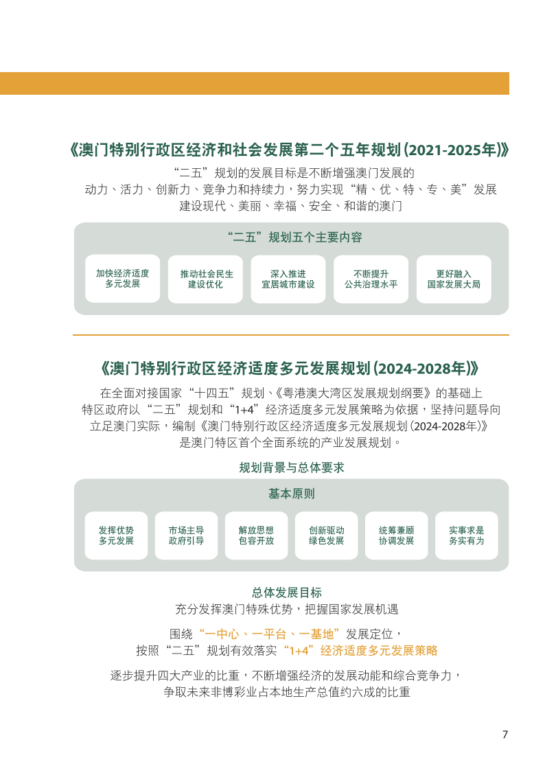 新澳门全年免费资料与鹊起释义，深度解析与落实行动