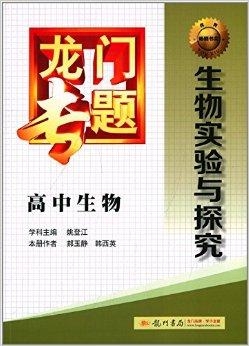 探索未来之门，揭秘新澳最精准龙门客栈与行家释义的完美结合