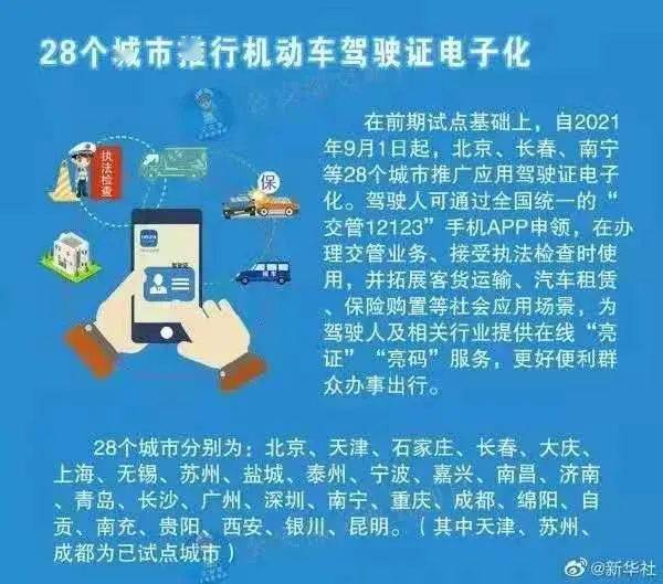 关于管家婆204年资料一肖的精选释义解释与落实策略