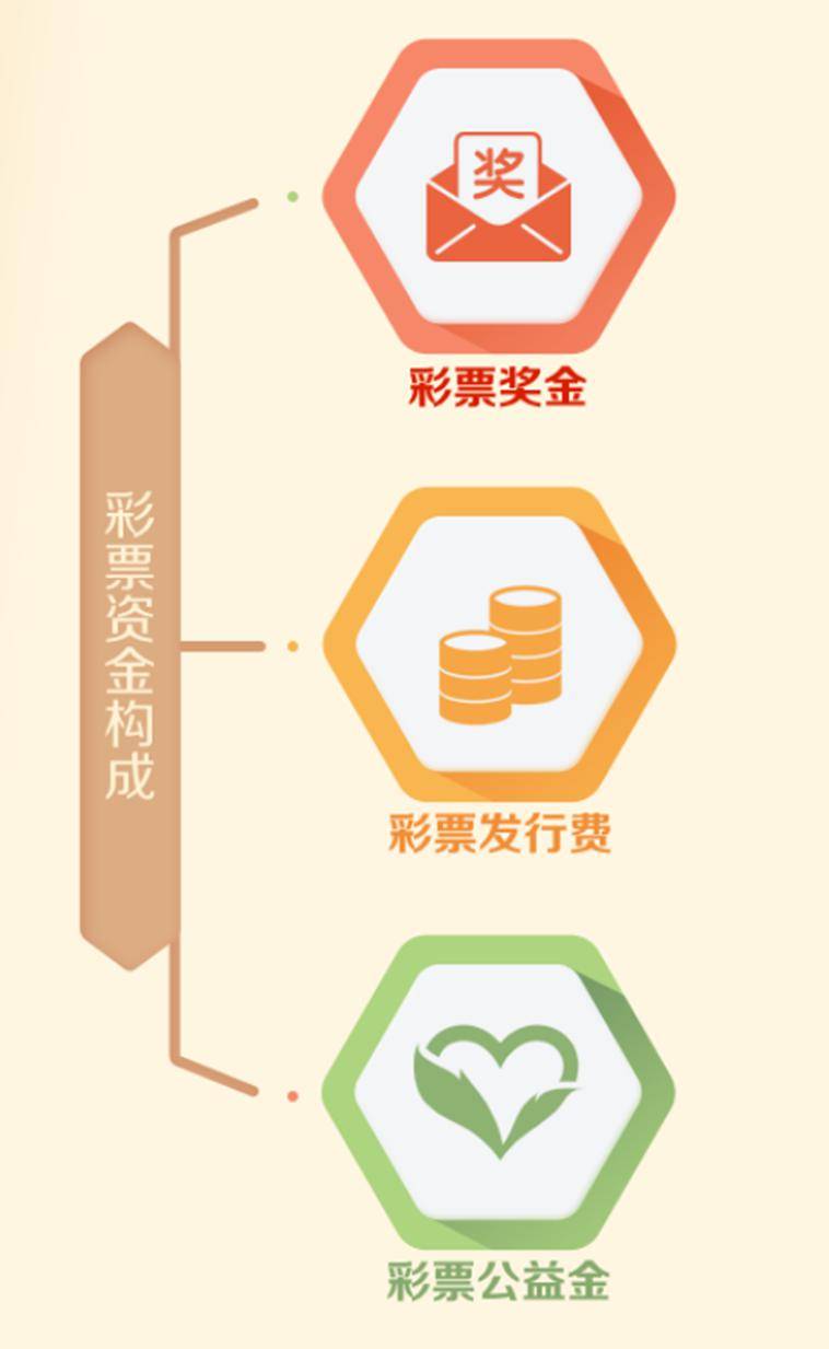 白小姐三肖三期免费开奖与老客释义解释落实的奥秘