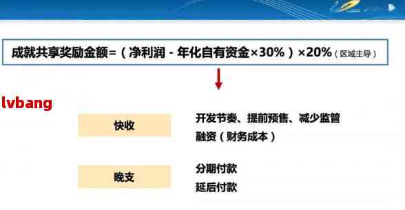 王中王资料大全及其相关释义解析与落实策略