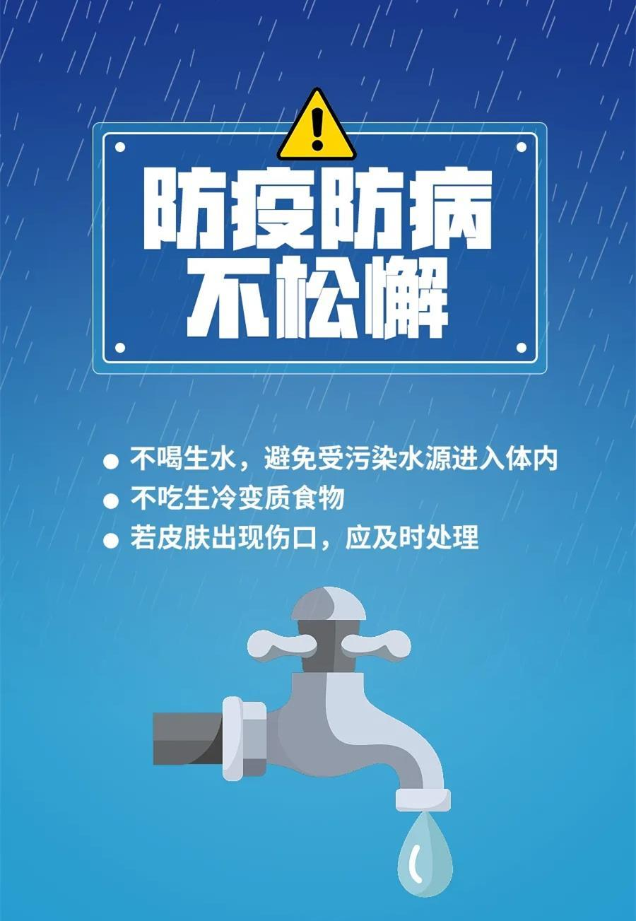 探索与力量，从精准资料到实践落实的旅程——以新奥集团为例（关键词，新奥精准资料、力量释义、解释落实）