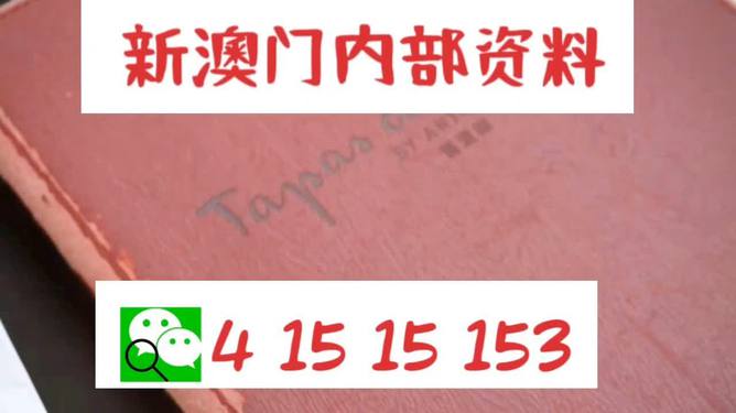 澳门内部最精准免费资料与耐心的力量，释义、解释与落实