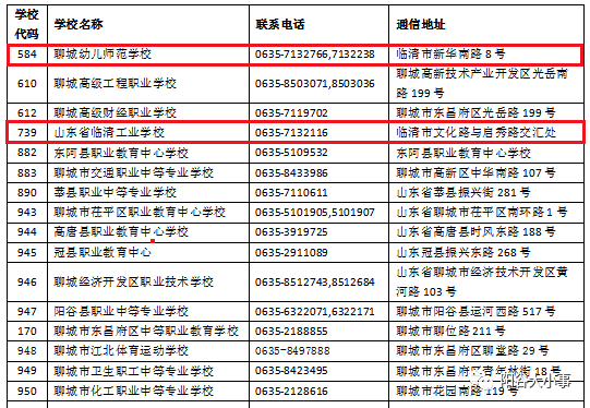 迈向2025，正版资料免费公开的新风范与落实策略