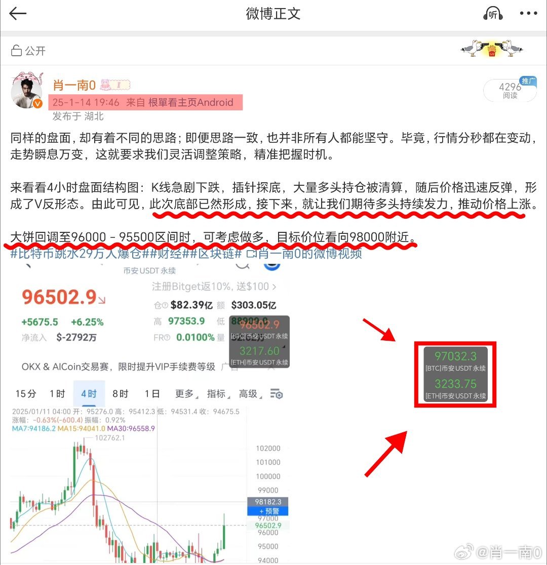 揭秘一肖一码精准预测背后的秘密，谋划、释义、解释与落实