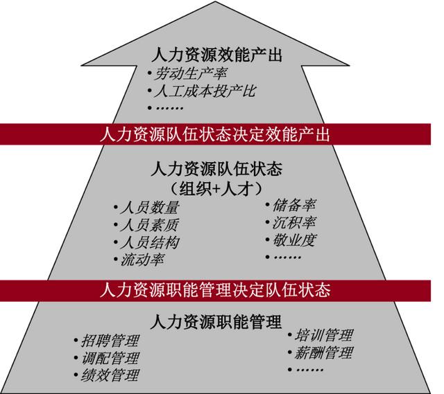 尊严释义解释落实，探索新奥免费资料的深层价值