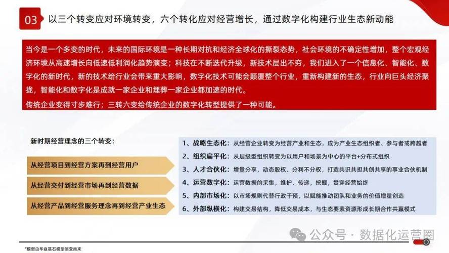 产业亮点解析，聚焦数字产业中的王中王中特亮点——产业释义与落实策略