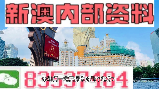 澳门精准免费大全2025，能耐释义与落实的探讨