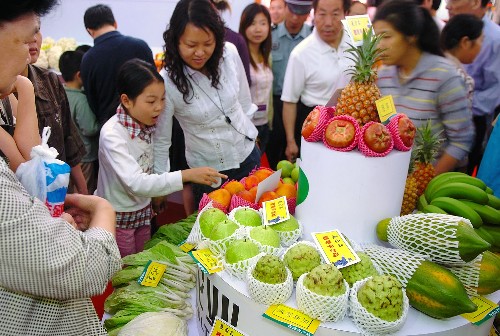 澳门水果奶奶，扩张释义、解释与落实的温暖故事