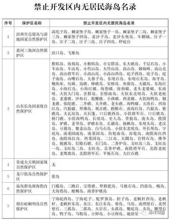 新澳门历史开奖记录查询，释义解释与落实的重要性