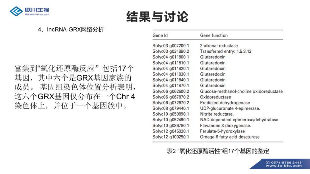 新澳天天开奖免费资料与释义调整，落实解释的重要性