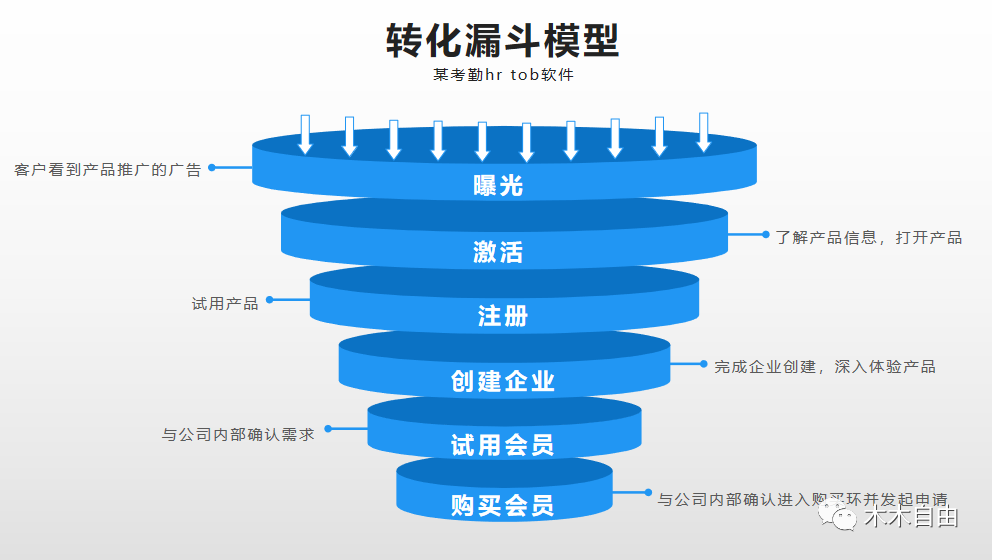 探索澳码世界，理解、分析与决策的重要性